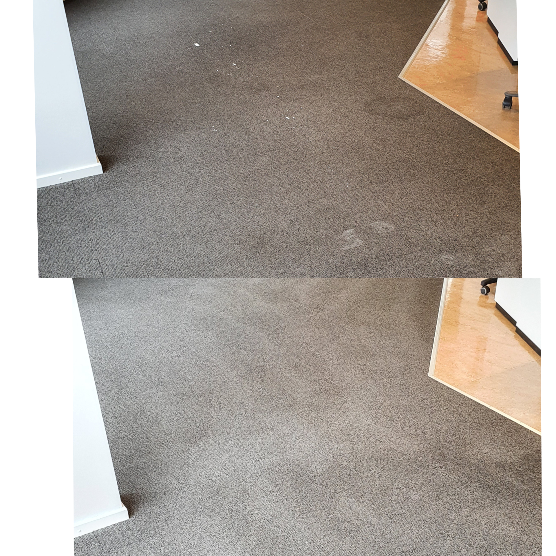 Tvätt av heltäckningsmatta